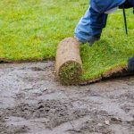 Jak nawozić trawnik w ogrodzie: odpowiedni nawóz i termin nawożenia